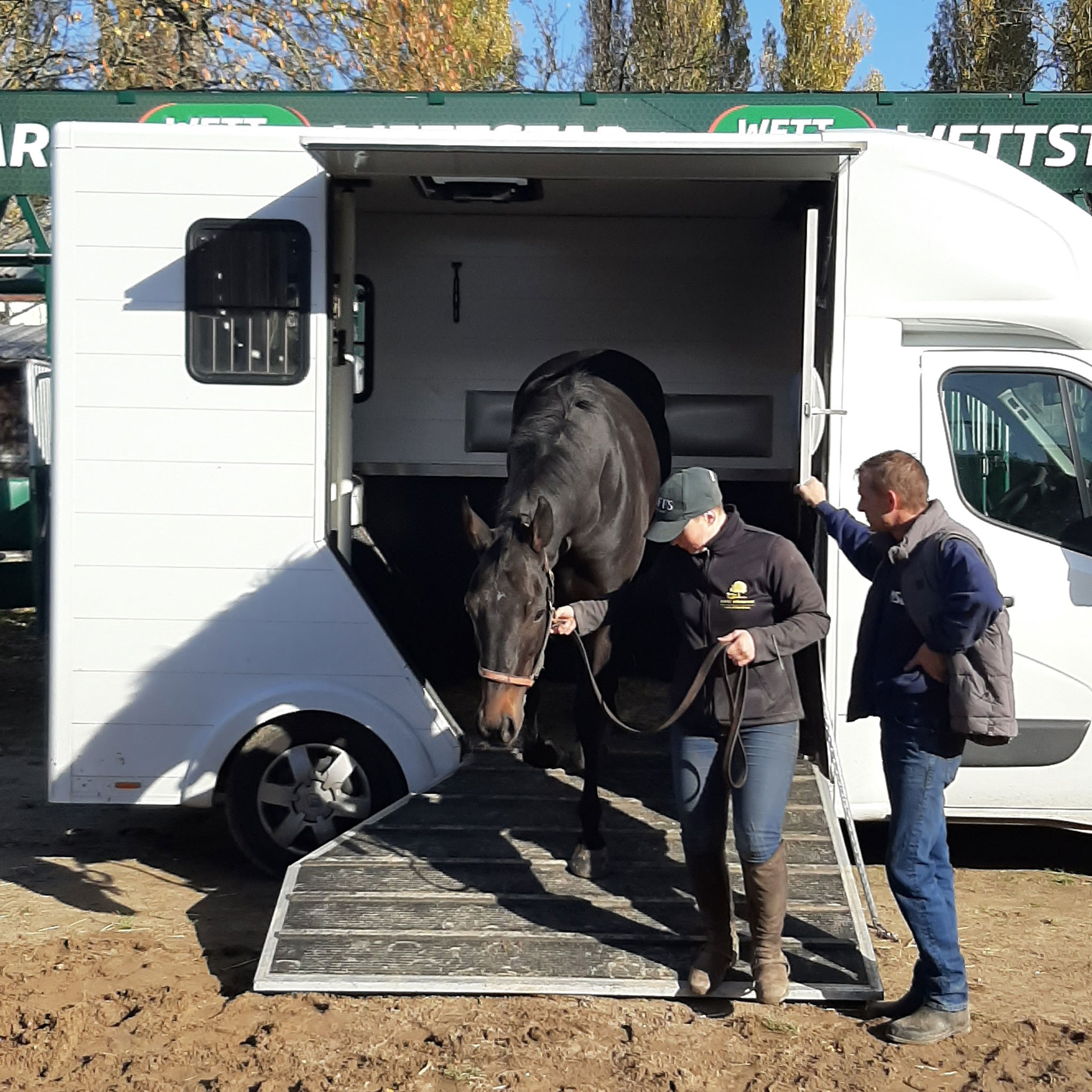 Pferdetransport-Halle-Fahrer